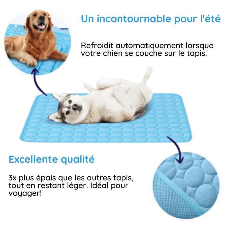 Tapis rafraîchissant pour chien