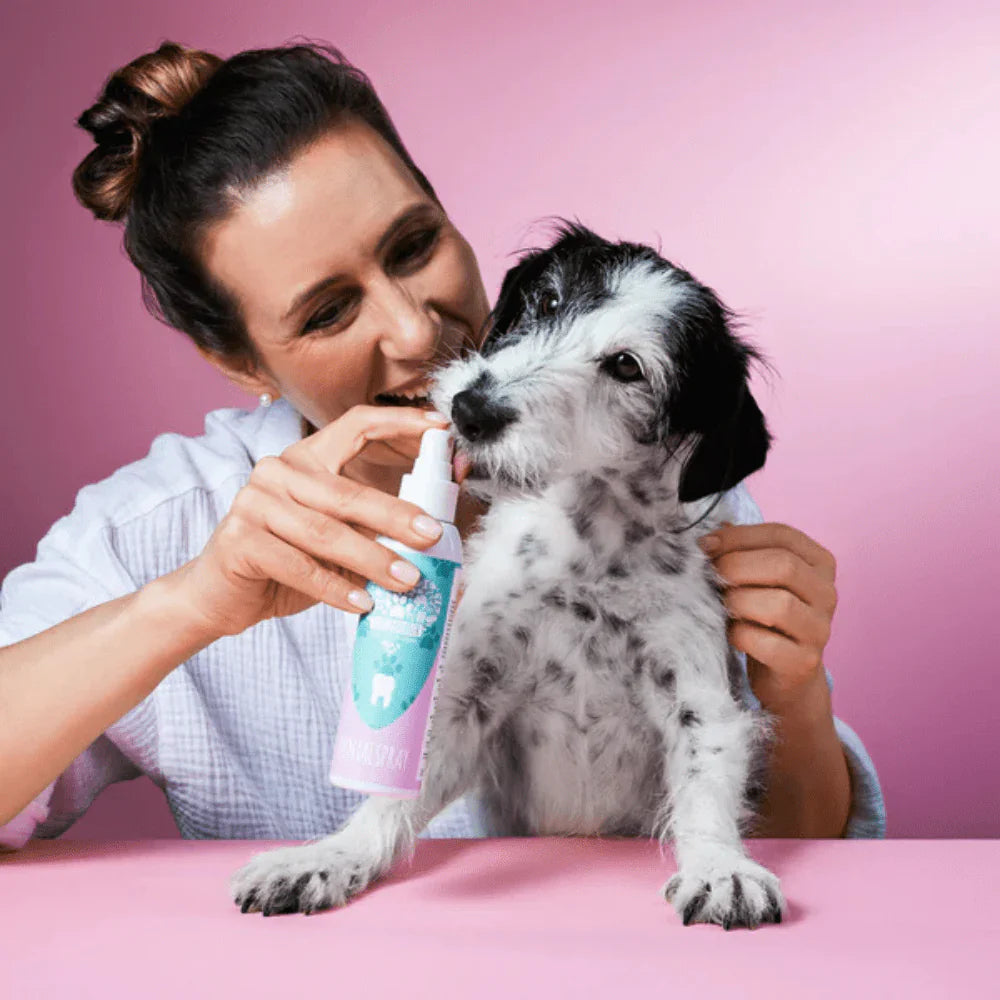 Spray Dentaire pour chien