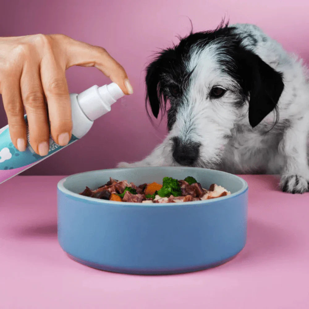 Spray Dentaire pour chien