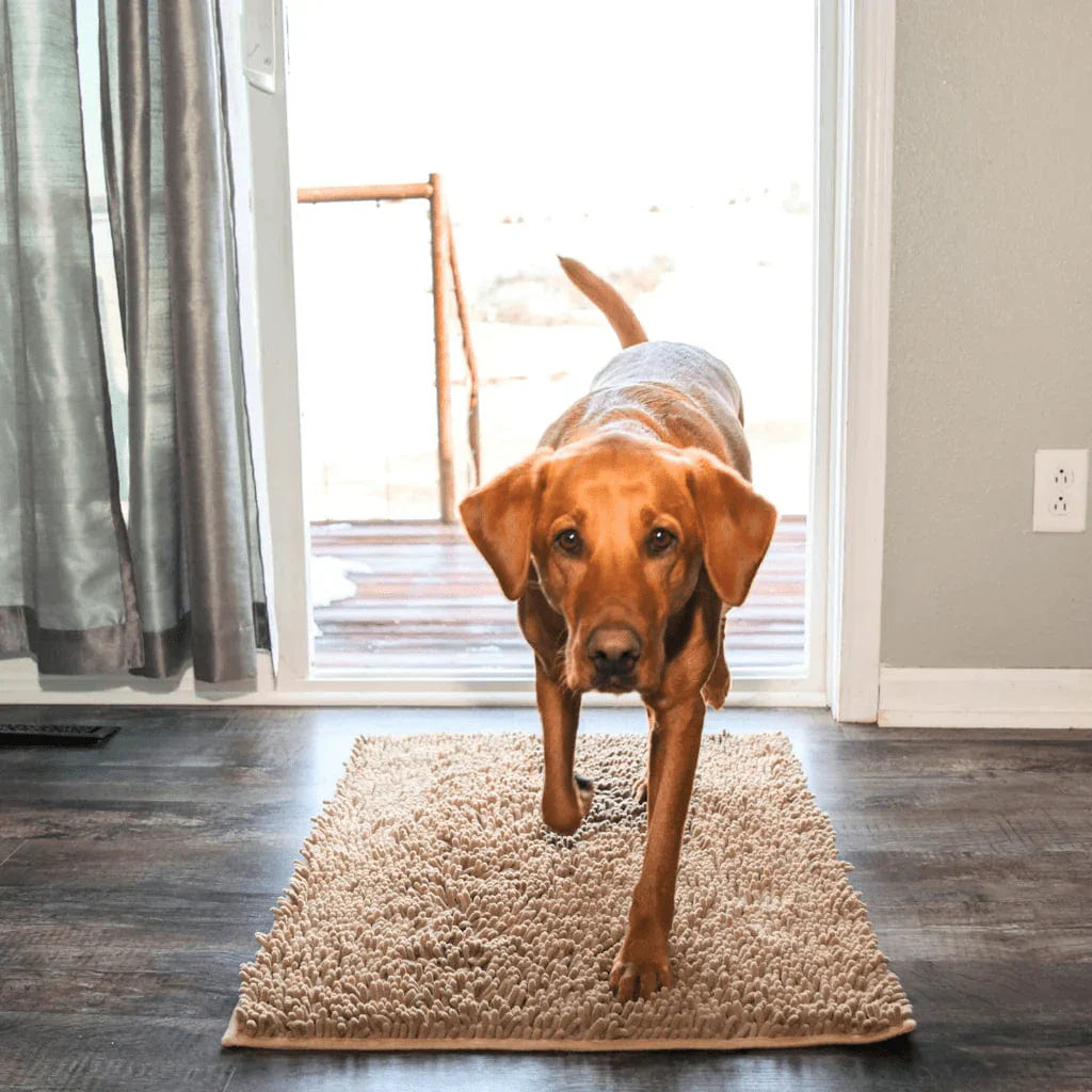 Tapis pour chien CleanPattoune™