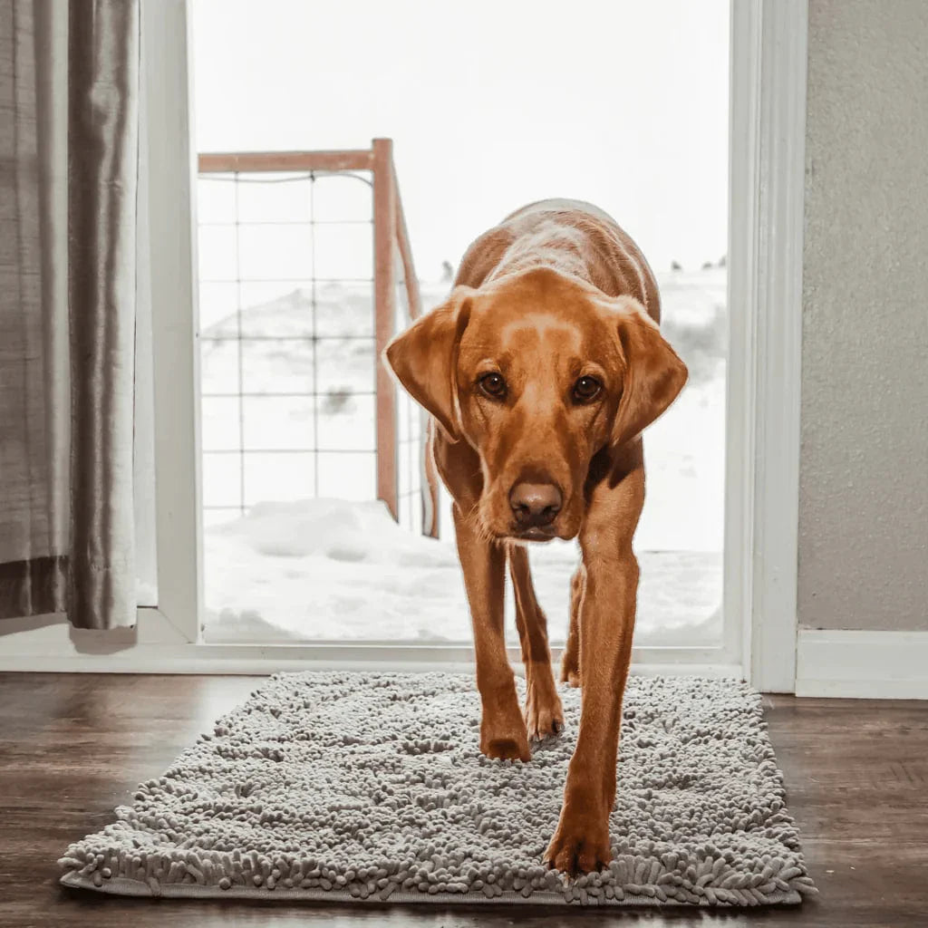Tapis pour chien CleanPattoune™