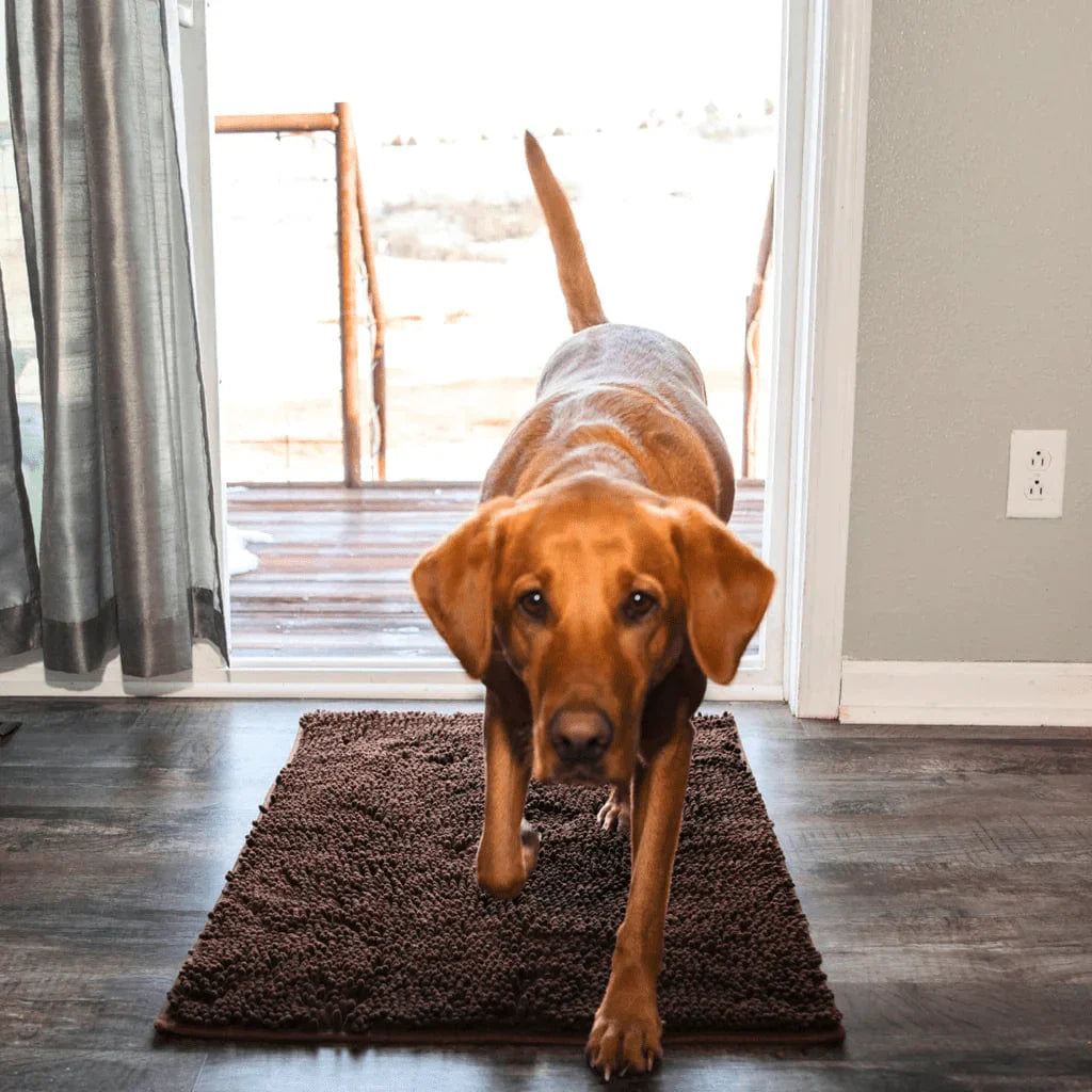 Tapis pour chien CleanPattoune™