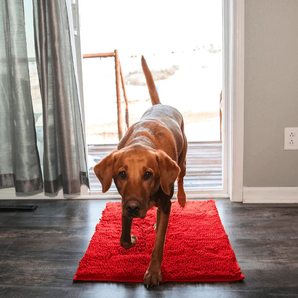 Tapis pour chien CleanPattoune™