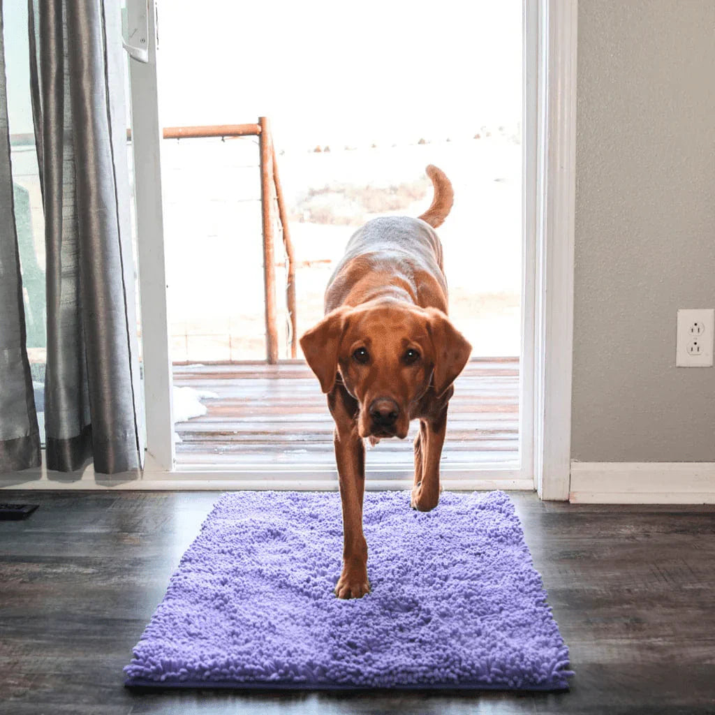 Tapis pour chien CleanPattoune™