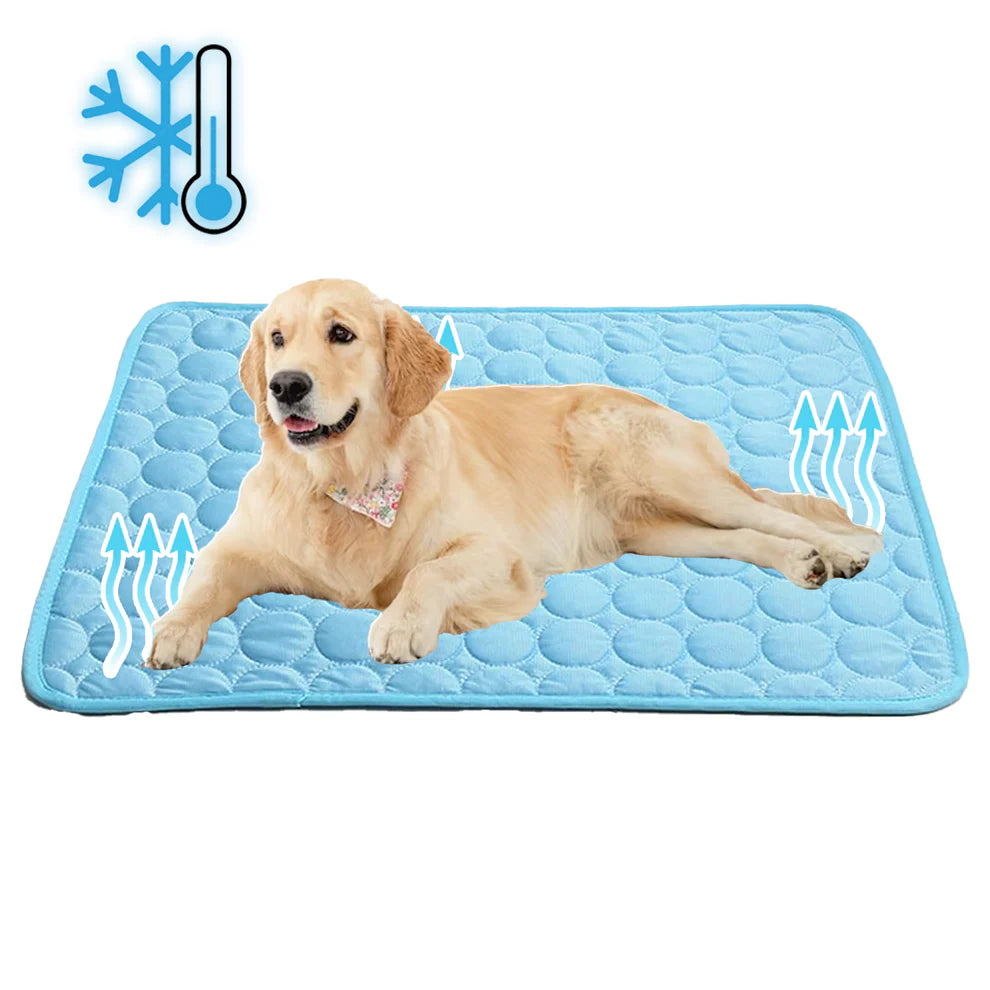 Tapis rafraîchissant pour chien