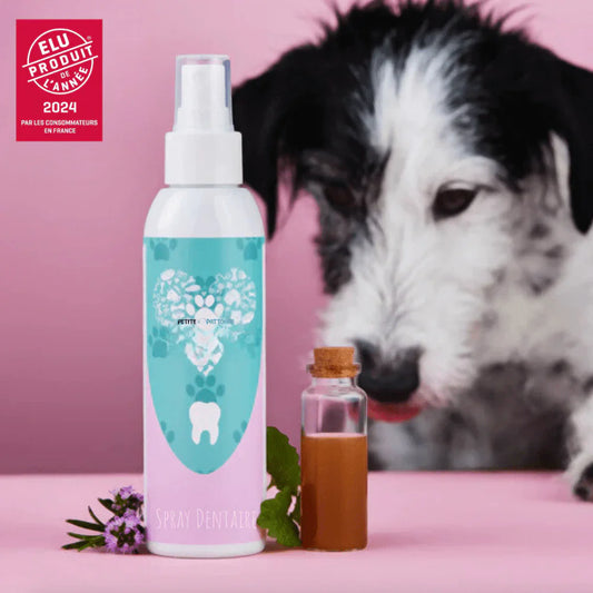 Spray Dentaire pour chien