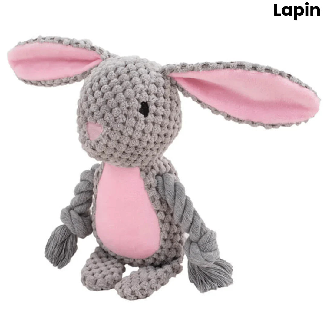 Peluche indestructible pour chiens