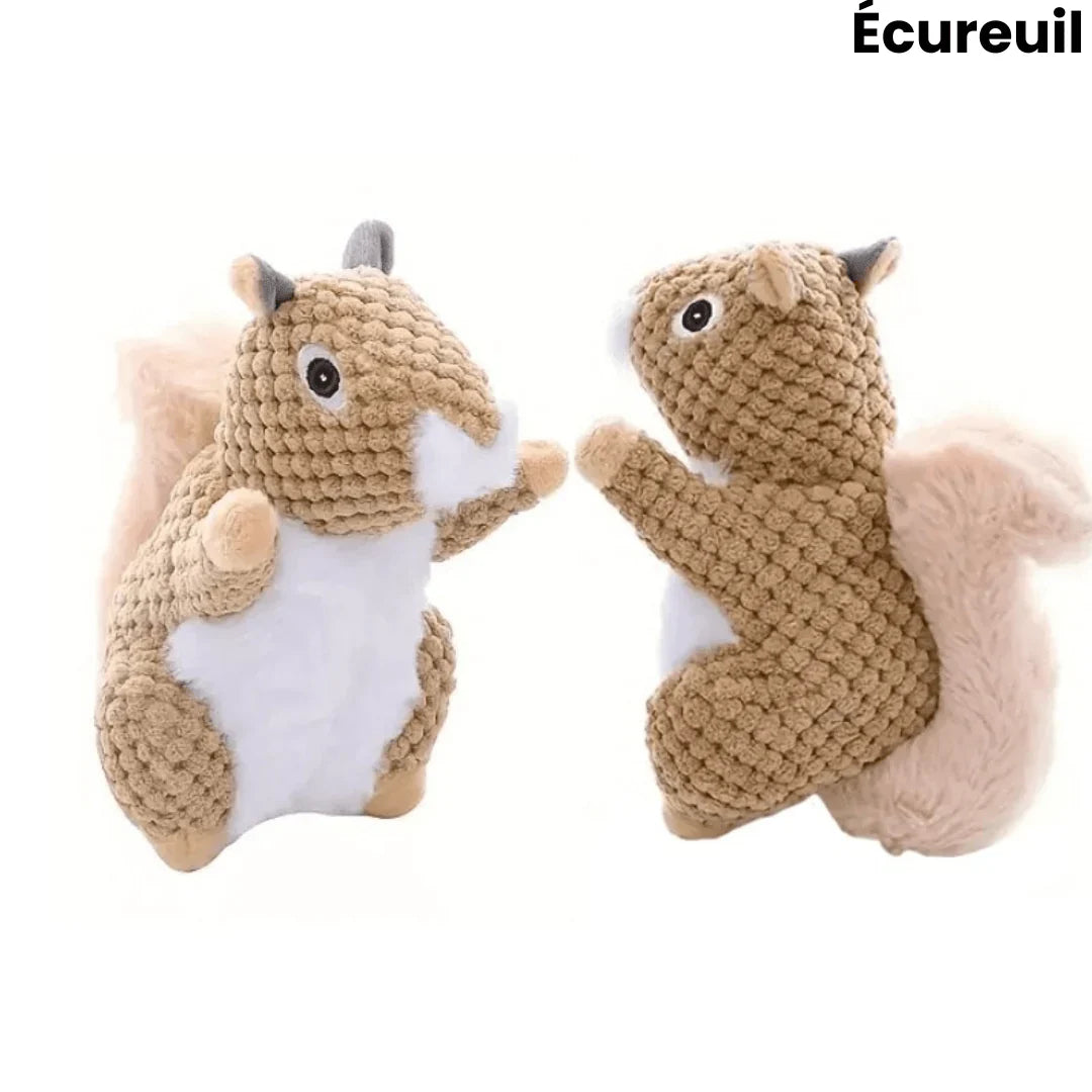 Peluche indestructible pour chiens