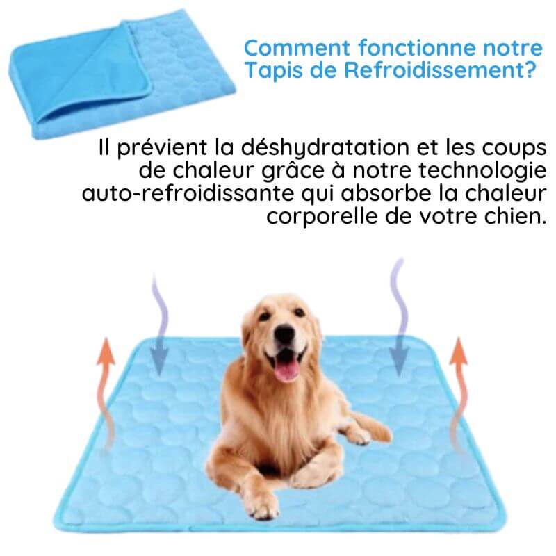 Tapis rafraîchissant pour chien