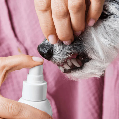 Spray Dentaire pour chien