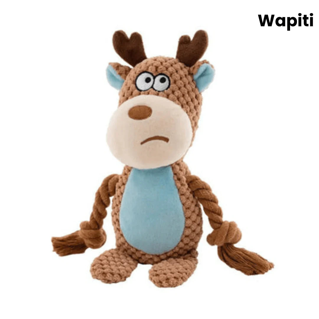 Peluche indestructible pour chiens