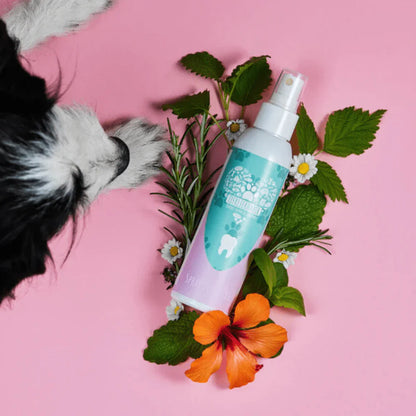 Spray Dentaire pour chien