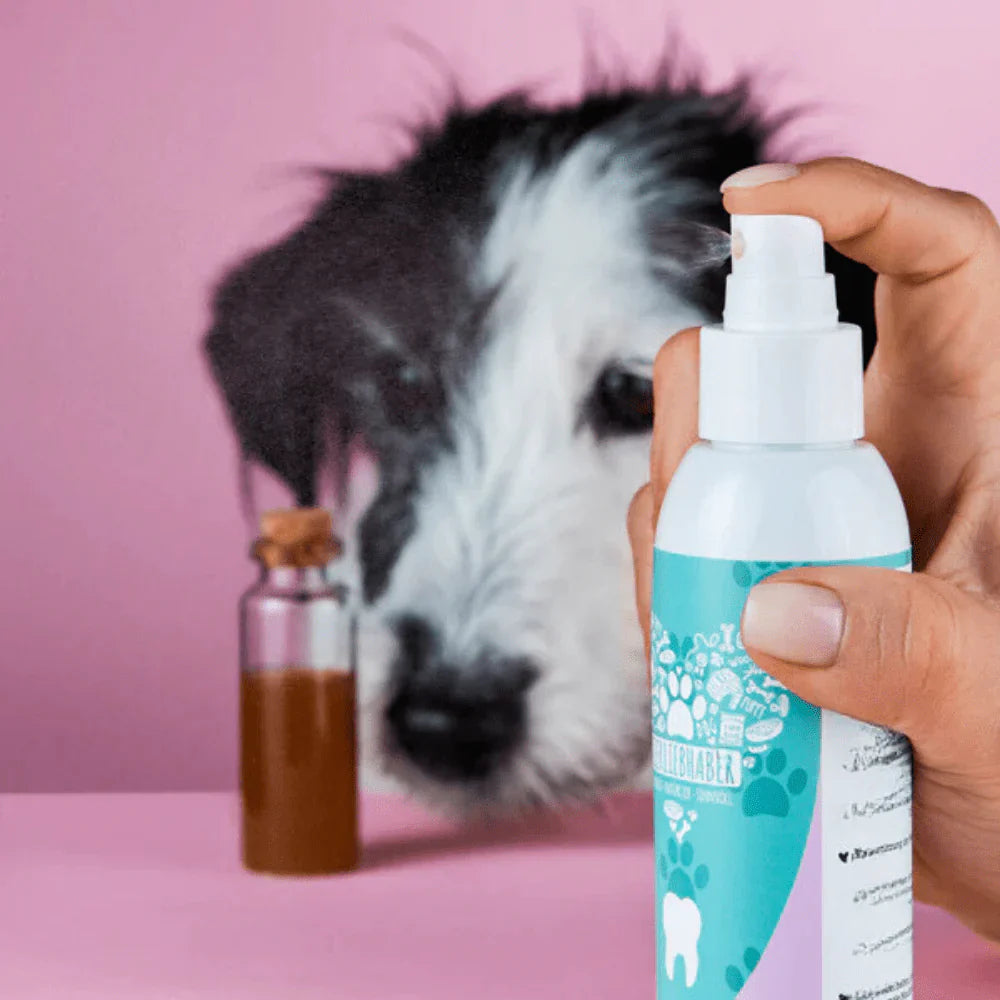 Spray Dentaire pour chien