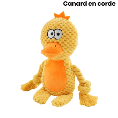 Peluche indestructible pour chiens