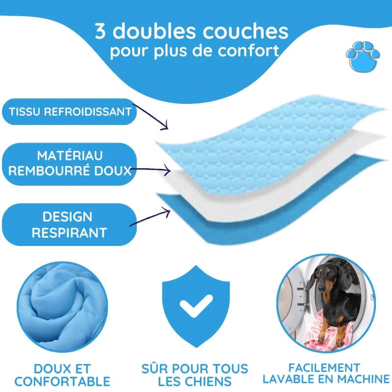 Tapis rafraîchissant pour chien