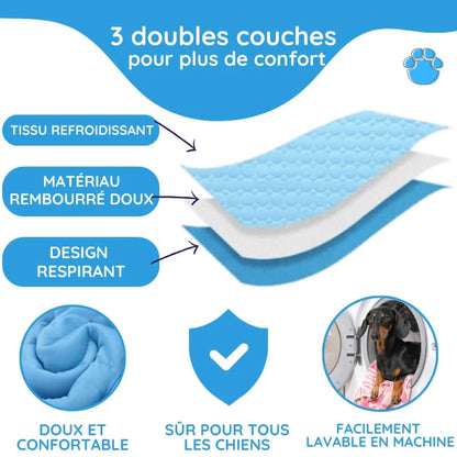 Tapis rafraîchissant pour chien