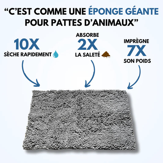 Tapis pour chien CleanPattoune™