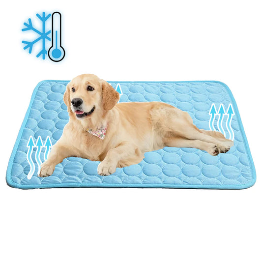 Tapis rafraîchissant pour chien